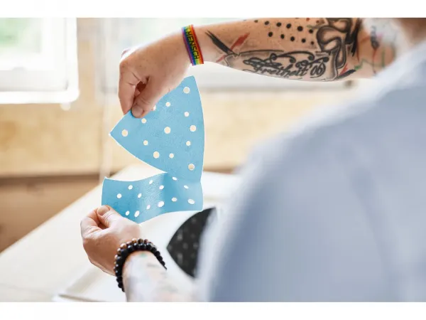 Festool Akku Deltaschleifer DTSC 200-Basic Nr. 577713